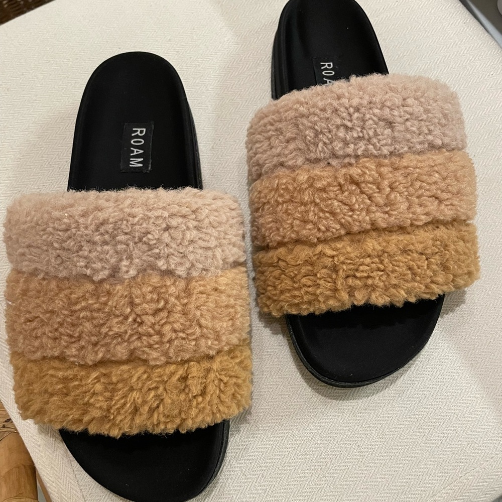 ROAM Fuzzy Sherpa slides